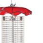 Sunflower Seed Forever Feeder – Birds Choice – Red – Small